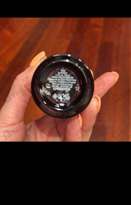 Купить Parle Moi de Parfum Comete Paradis / 62