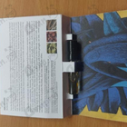 Отзыв Memo Abu Dhabi