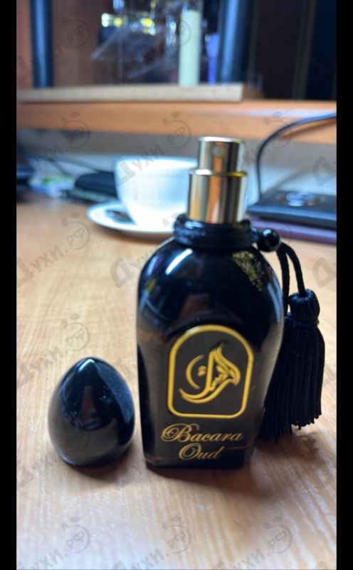 Купить Arabesque Bacara Oud