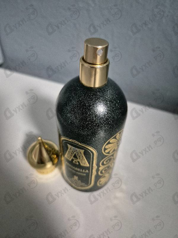 Купить Annabella от Attar Collection