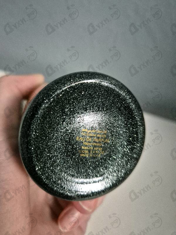 Отзывы Attar Collection Annabella