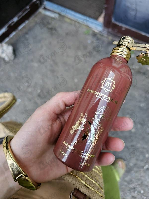 Парфюмерия Montale Arabians Musk