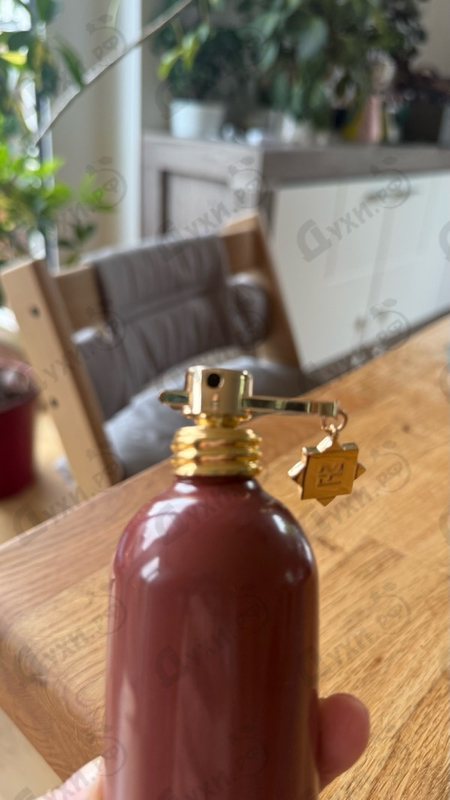 Парфюмерия Arabians Musk от Montale