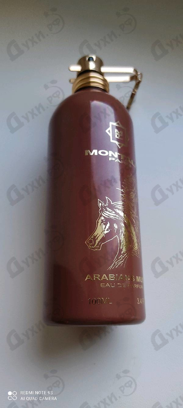 Купить Arabians Musk от Montale