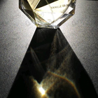 Парфюм Francesca Dell'Oro Vanille 08:00