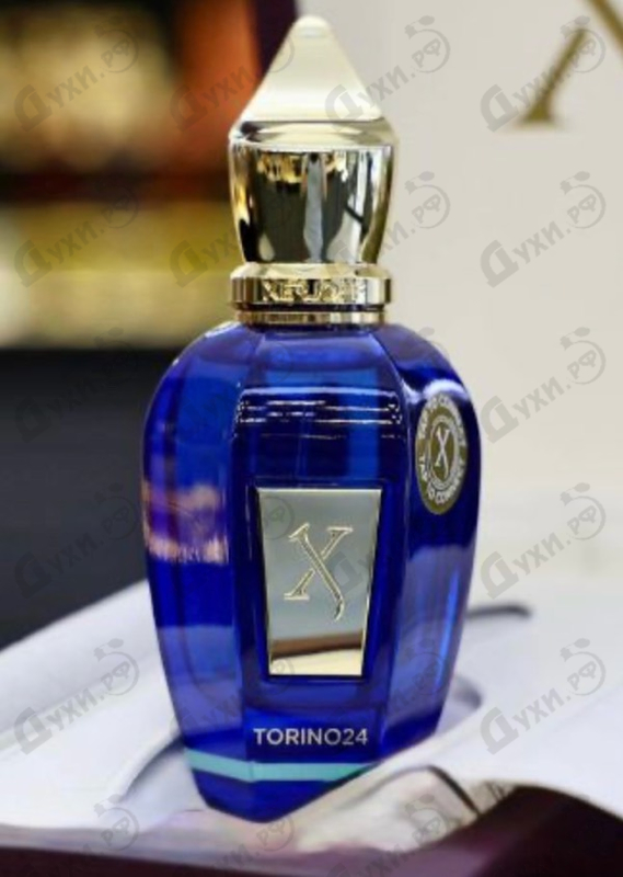 Купить Torino24 от Xerjoff
