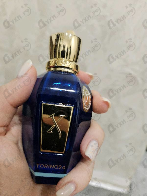 Отзыв Xerjoff Torino24