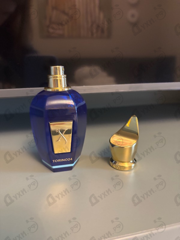 Купить Torino24 от Xerjoff