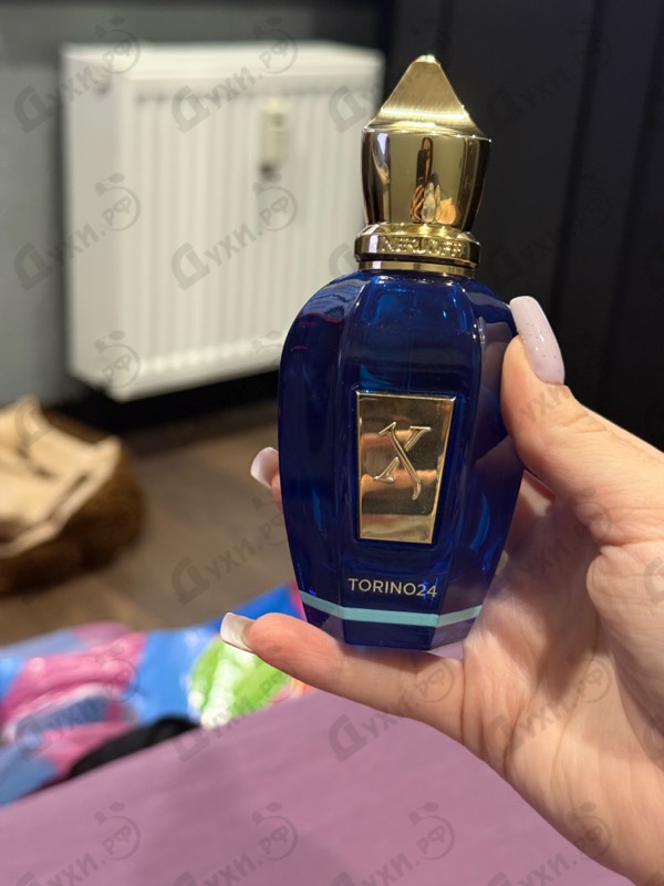 Купить Torino24 от Xerjoff