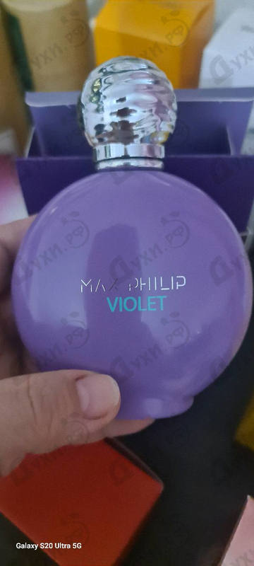 Купить Violet от Max Philip