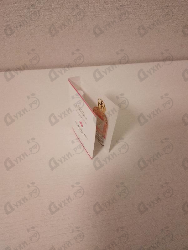 Купить Guerlain Aqua Allegoria Florabloom