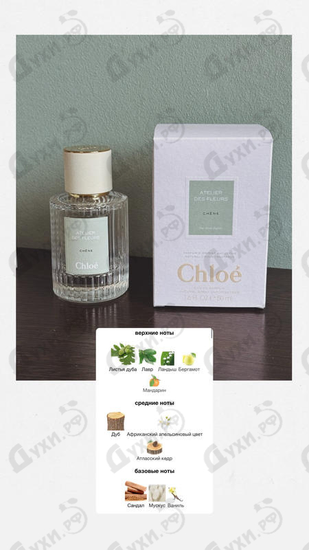 Купить Chene от Chloe