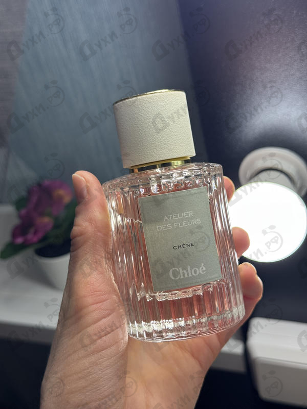 Отзывы Chloe Chene