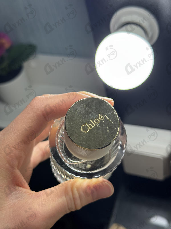 Купить Chene от Chloe