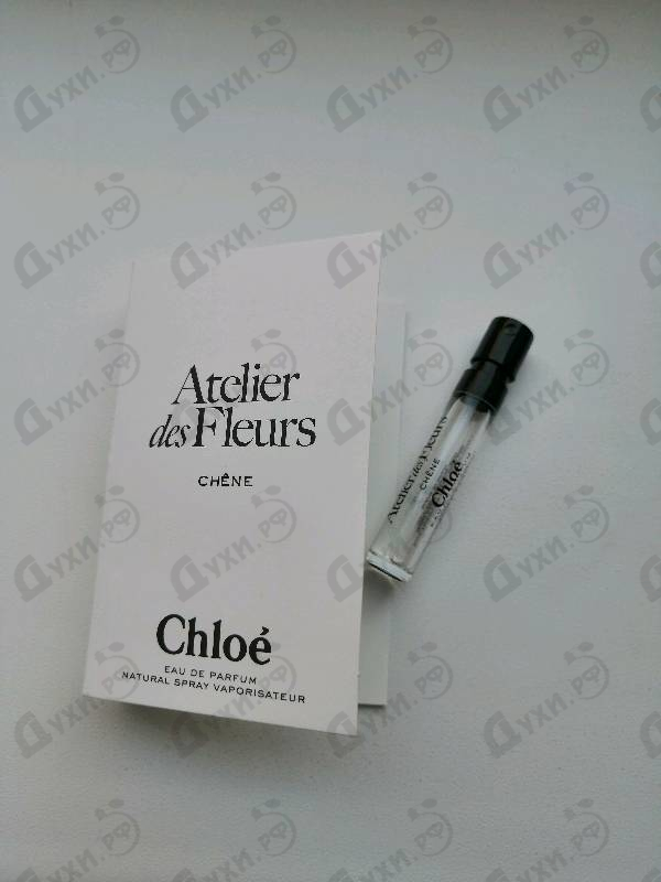 Купить Chene от Chloe