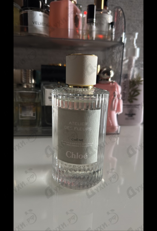 Купить Chene от Chloe