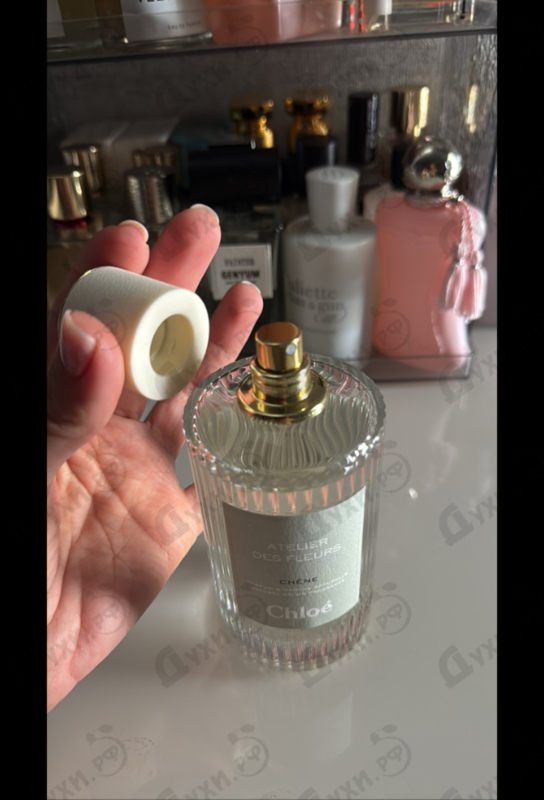 Парфюмерия Chloe Chene