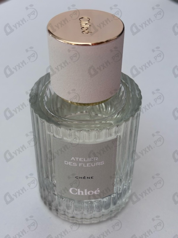 Купить Chene от Chloe