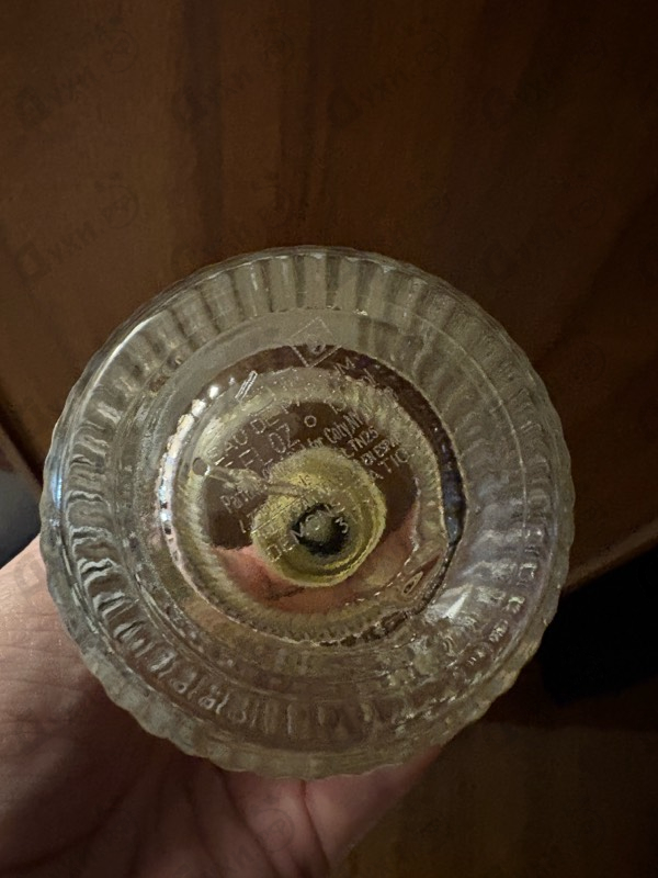 Купить Chloe Chene