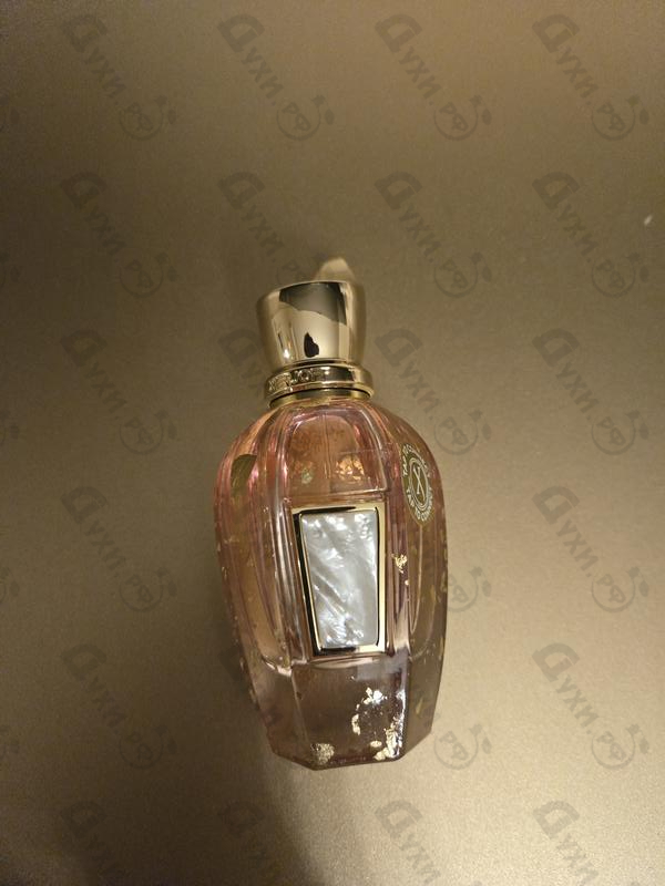 Купить Elle Anniversary от Xerjoff