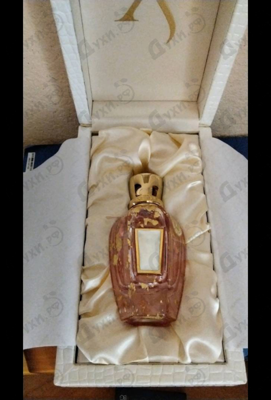 Купить Elle Anniversary от Xerjoff