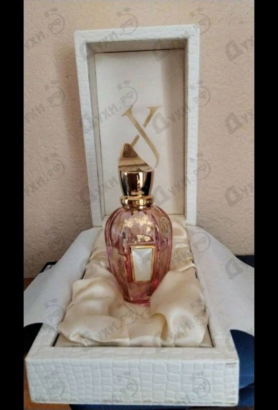 Парфюмерия Elle Anniversary от Xerjoff