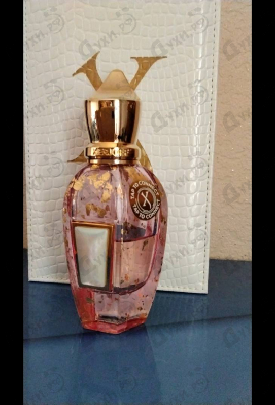 Купить Elle Anniversary от Xerjoff