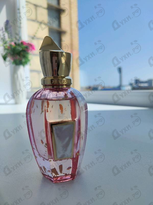 Парфюмерия Elle Anniversary от Xerjoff