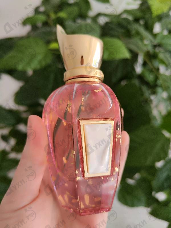 Отзывы Xerjoff Elle Anniversary