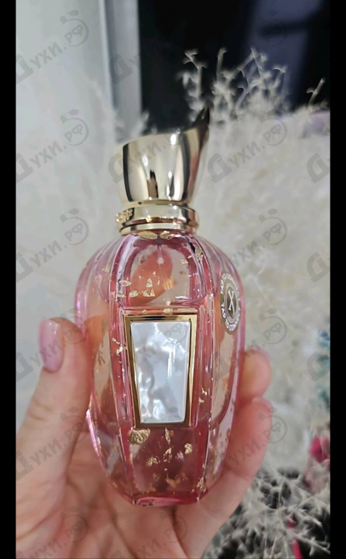 Духи Elle Anniversary от Xerjoff