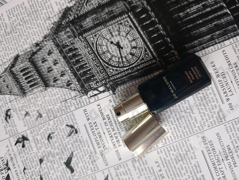 Купить Scarlet Poppy Cologne Intense от Jo Malone
