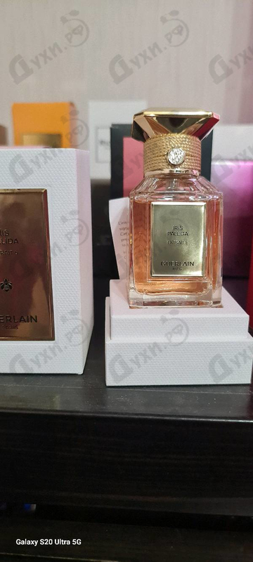 Духи Iris Pallida Extrait 6 от Guerlain