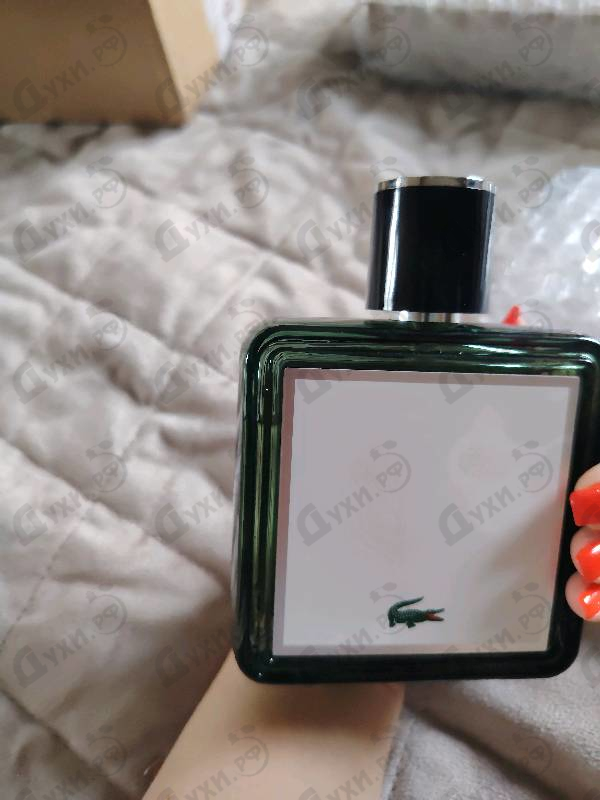 Отзыв Lacoste Original Eau De Parfum