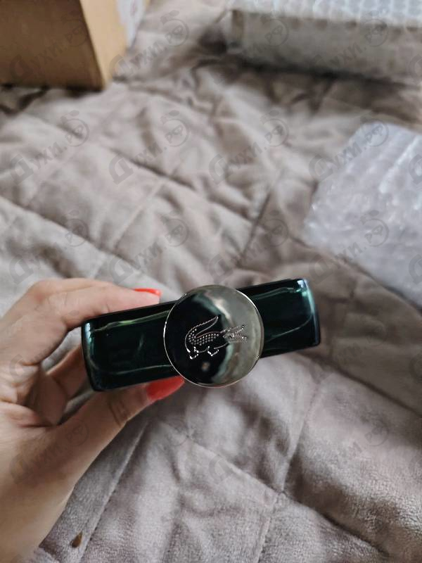 Купить Lacoste Original Eau De Parfum