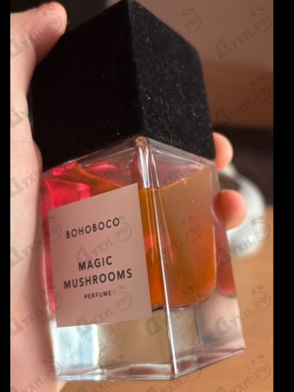 Духи Magic Mushrooms от Bohoboco