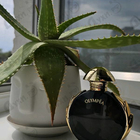 Отзывы Paco Rabanne Olympea Parfum