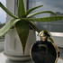 Отзыв Paco Rabanne Olympea Parfum