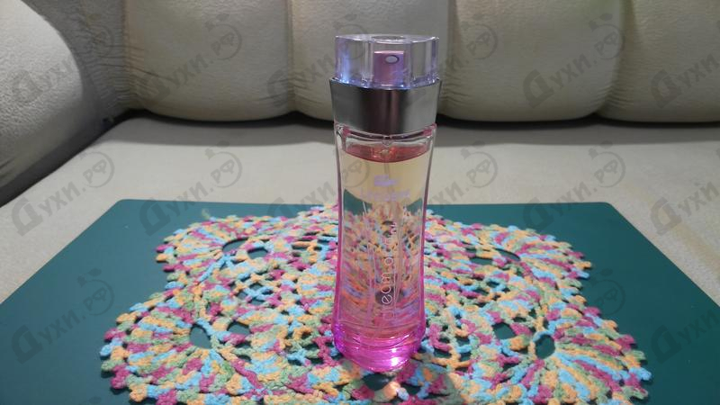 Духи Lacoste Dream Of Pink Купить Dream Of Pink от Lacoste