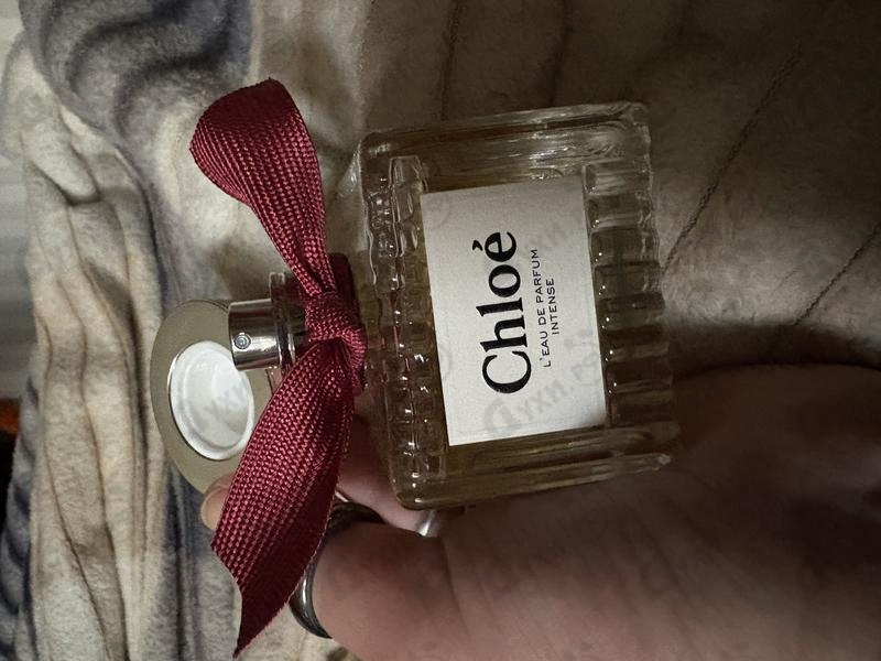 Купить L'Eau De Parfum Intense от Chloe