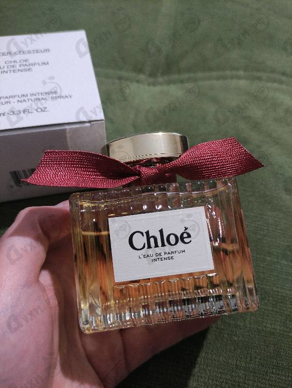 Парфюмерия L'Eau De Parfum Intense от Chloe