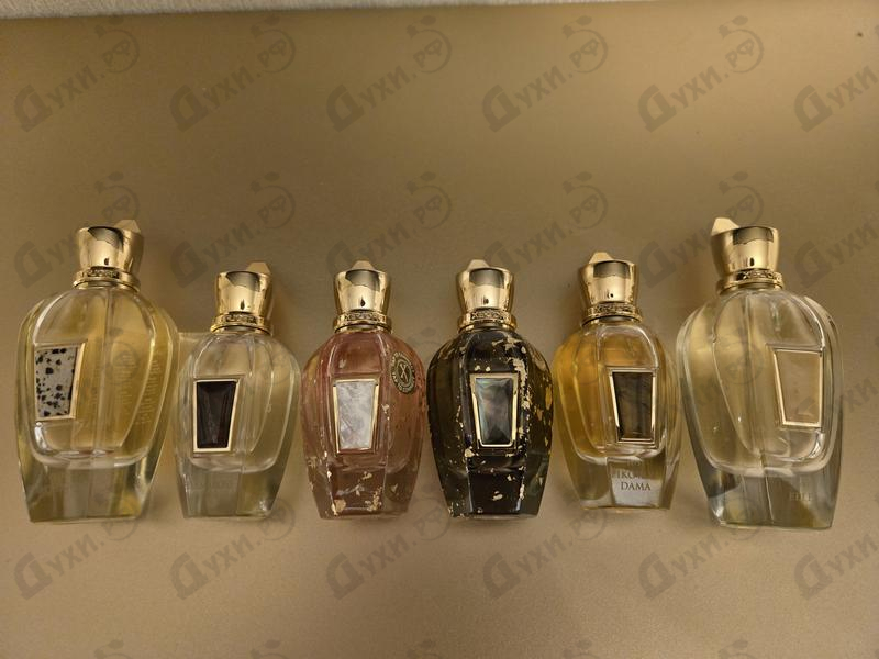 Купить Homme Anniversary от Xerjoff