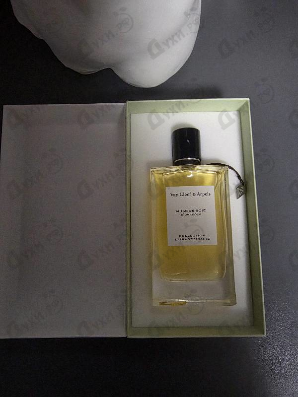 Парфюмерия Musc De Soie от Van Cleef & Arpels