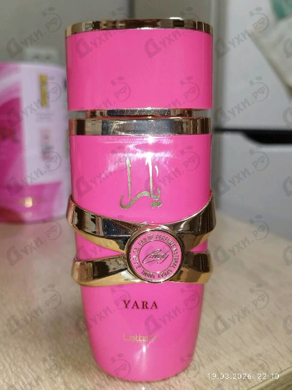 Отзывы Lattafa Perfumes Yara Candy