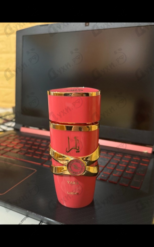 Купить Yara Candy от Lattafa Perfumes