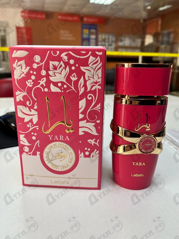 Отзывы Lattafa Perfumes Yara Candy