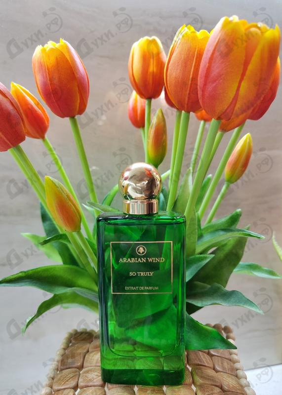 Отзыв Arabian Wind So Truly
