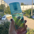 Духи Green Tea Coconut Breeze от Elizabeth Arden