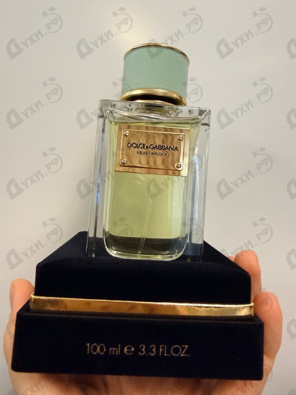Купить Dolce & Gabbana Velvet Infusion