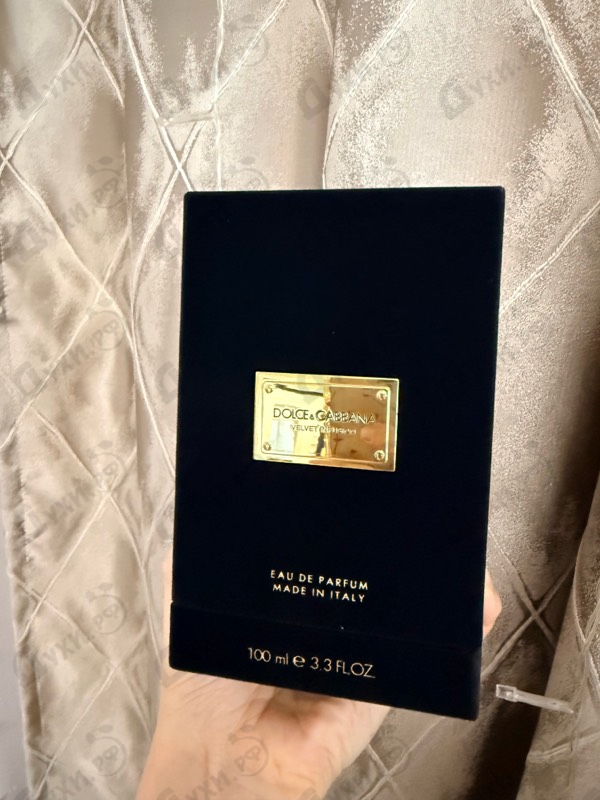 Отзывы Dolce & Gabbana Velvet Infusion