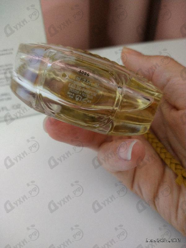 Купить Nomade Jasmin Naturel от Chloe